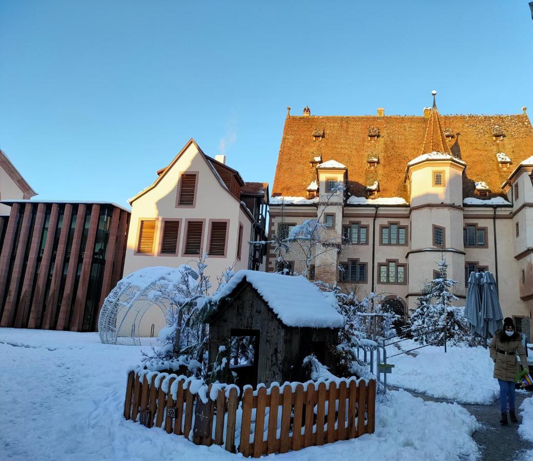 La Maison Bleue, A 20 Mn De Strasbourg, Sur La Route Des Vins, Jusqu'A 6 Personnes, ซิลิสตาต์ ภายนอก รูปภาพ